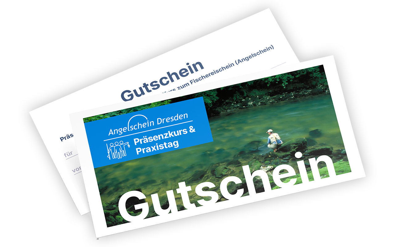 Präsenzkurs